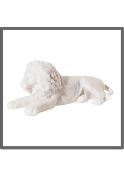 Köpük Aslan Küçük 5 Adet