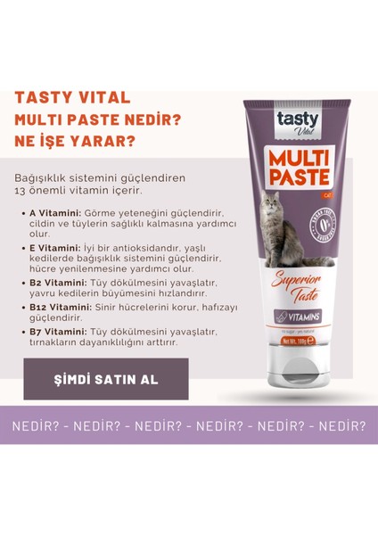Vital Multivitamin Paste 100 gr