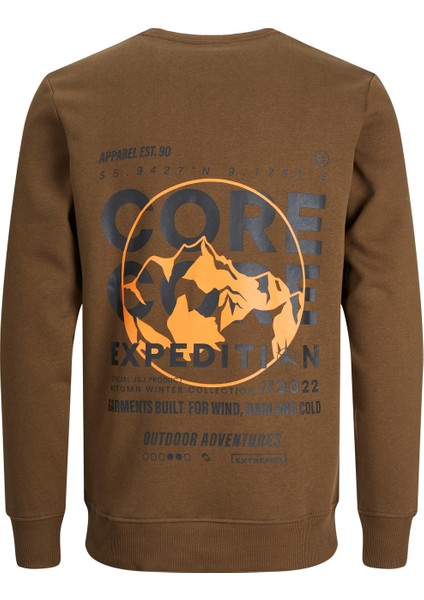 Erkek Sırt Baskılı Sweatshirt 12223238 fiyatları
