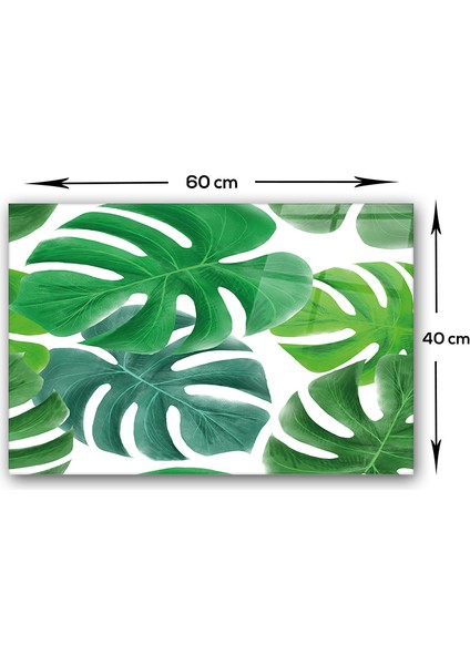 Tropik Yapraklar | Cam Ocak Arkası Koruyucu | 40cm X 60cm modelleri