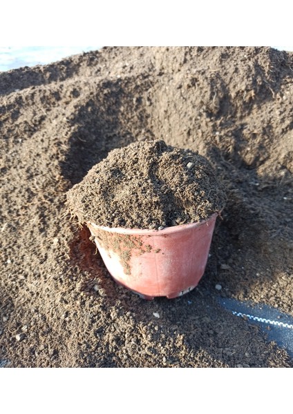 Elenmiş Doğal Bahçe Toprağı / Gübreli 5 Litre fiyatları
