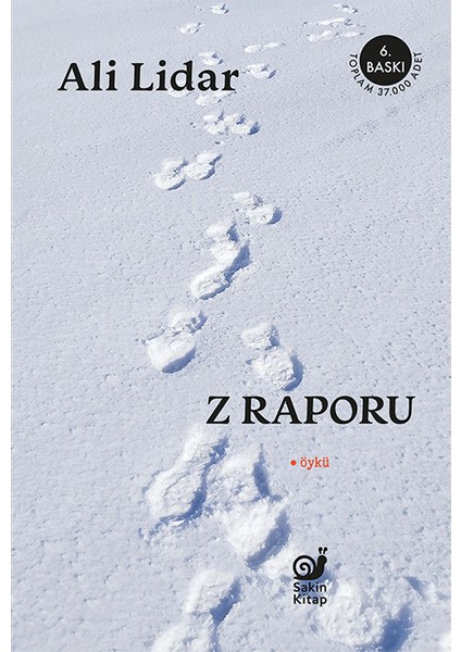 Z Raporu