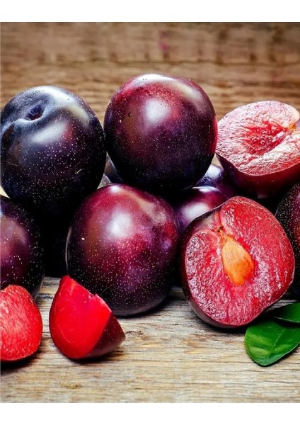 9 Adet Kırmızı Erik Fidanı 3 Yaş