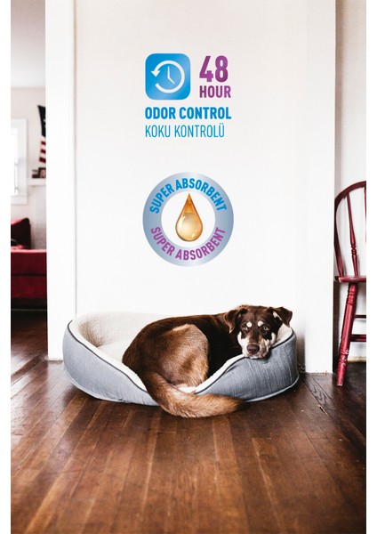 60X90 cm Kedi Köpek Çiş Pedi 30 Adet