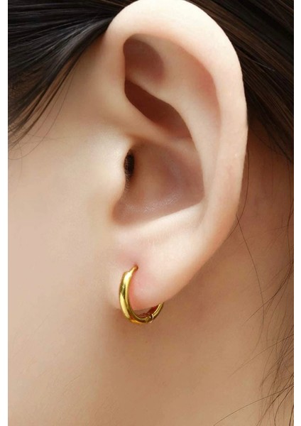 Minimal 316L Çelik Cerrahi Küpe fiyatları