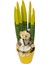 Nisa Floral Sansevieria Canlı Çiçek/ Sarı/30-35 cm Maskot Ayıcıklı 1