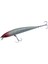 PREY110 11CM 14G Sf Maket Balık 1