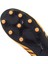 Tacto II FG/AG Jr Unisex Krampon 10670401 4