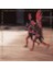 Paul Simon The Rhythm Of The Saints - Plak 1