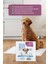 60X90 cm Kedi Köpek Çiş Pedi 30 Adet 2