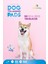 60X90 cm Kedi Köpek Çiş Pedi 30 Adet 4