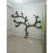 Hikioe Ert Model Elite Venge Ağaç Kitaplık