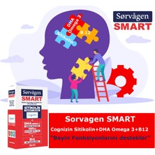 Sorvagen Smart Sitikolin, Dha Omega 3, B12 (30 Kapsül) + Omega 3 Hıgh Dha Norveç Balık Yağı