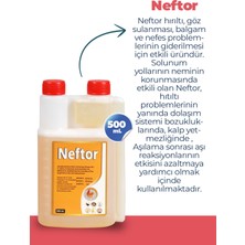 Munich Vet Neftor Kuşlar Için Hırıltı Nefes ve Solunum Ürünü 500 ml Orjinal