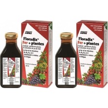 Floradix Şurup Demir Ve Vitamin Takviyesi 250 Ml Liquid 2 Adet