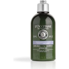 L'Occitane Aromakoloji Dengeleyici Saç Kremi 250 ml