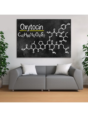 Morfil Sanat Atölyesi Aşk Mutluluk Formülü Oxytocin Grabovoi Yaşam Çiçeği Kanvas Tablo