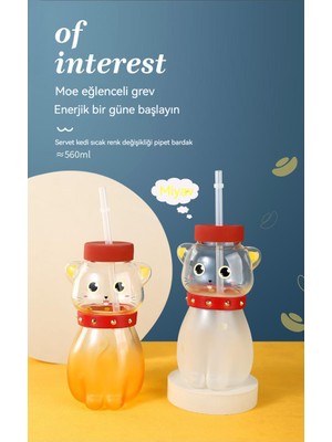 Miffy Sevimli Karikatür Cam Su Bardağı (Yurt Dışından)