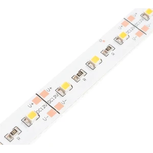AS01-00800 A10 Çip Şerit LED Iç Mekan 6500K Beyaz