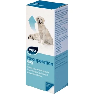 Viyo Recuperation Köpek Ek Besin Takviyesi 150 ml