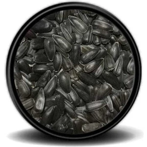 Vivid Bird Paraket Küçük Siyah Çekirdek 1 kg