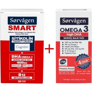Smart Sitikolin, Dha Omega 3, B12 (30 Kapsül) + Omega 3 Hıgh Dha Norveç Balık Yağı