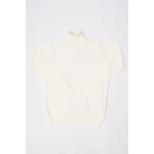 Mentality 3177 Balıkçı Yaka Triko Basic Inci