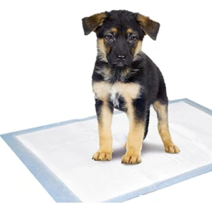 Köpek Çiş Pedi 60X90 (30LU)