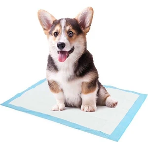 60X90 Kedi Köpek Çiş Pedi 60 Adet Kedi