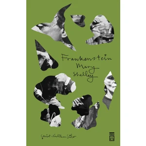 Frankenstein - Mary Shelley