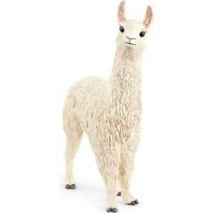 Lama 13920