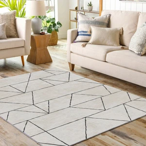 Dekoratif Pamuklu Dokuma Taban Modern Yıkanabilir Leke Tutmaz Ince Makine Dokuması Halı,kilim
