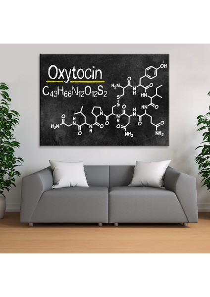 Aşk Mutluluk Formülü Oxytocin Grabovoi Yaşam Çiçeği Kanvas Tablo