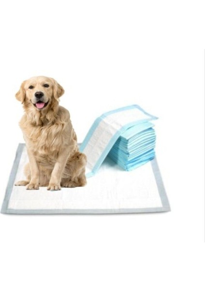 Kedi-Köpek Çiş Pedi 60X90 20'li 5 Paket 100 Adet