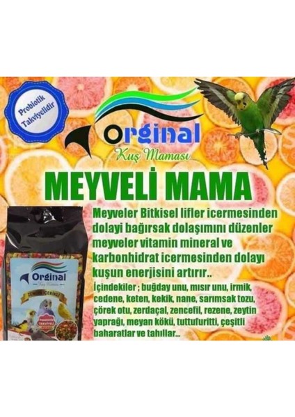 Kus Namasi Meyveli