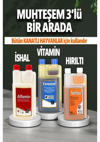 Munich Vet 3lü Set Farmatom Vitamin Alfamin Ishal Neftor Hırıltı Seti - 500 ml