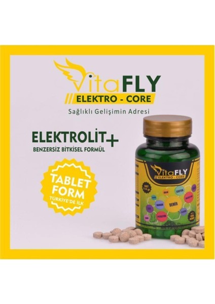 Fly Vet Vitafly Elektro-Core 485TABLET Elektrolit Kombinasyonu