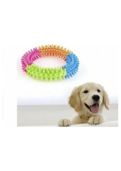 Köpek Isırma Çemberi Diş Kaşıma Aparatı Köpek Oyuncağı (12 Cm)