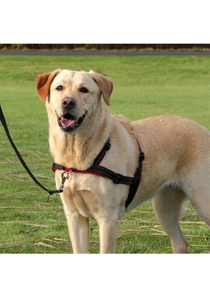 Köpek Yürüyüş Eğitim Göğüs Tasması S-M