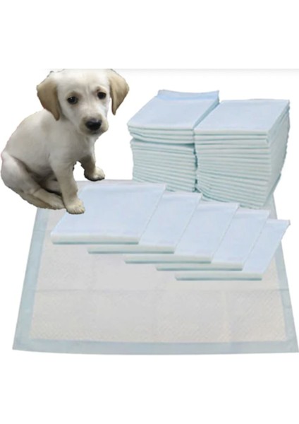 Kedi Köpek Çiş Pedi 60X90 30LU (4 Adet)