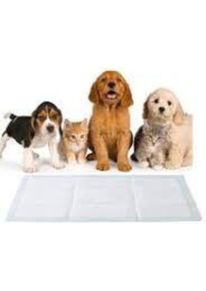 60X90 cm Köpek Çiş Pedi 30 Lu X4 Only Dog