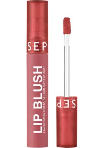 Sheer Matte Lip Powder Lip BLUSH21- 09 Desert Cloud