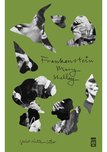 Frankenstein - Mary Shelley