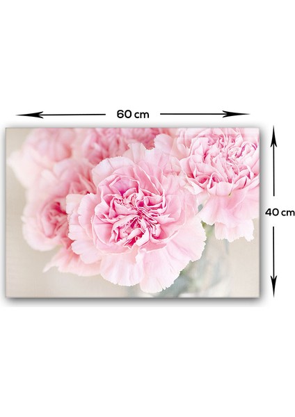 Pembe Krizantem | Cam Ocak Arkası Koruyucu | 40CM x 60CM modelleri