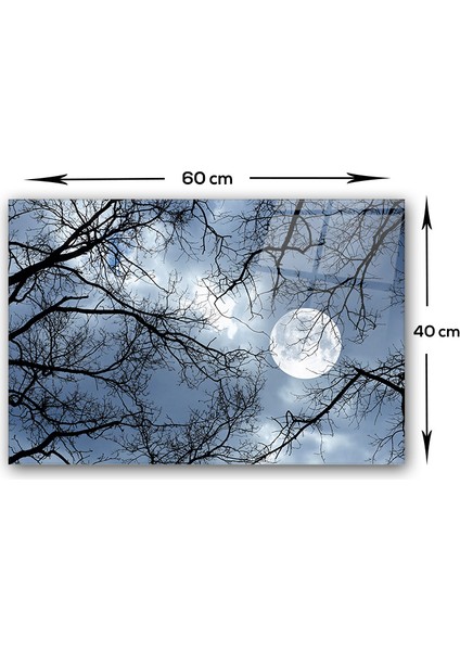 Gece Desen | Cam Ocak Arkası Koruyucu | 40CM x 60CM modelleri