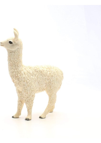 Lama 13920