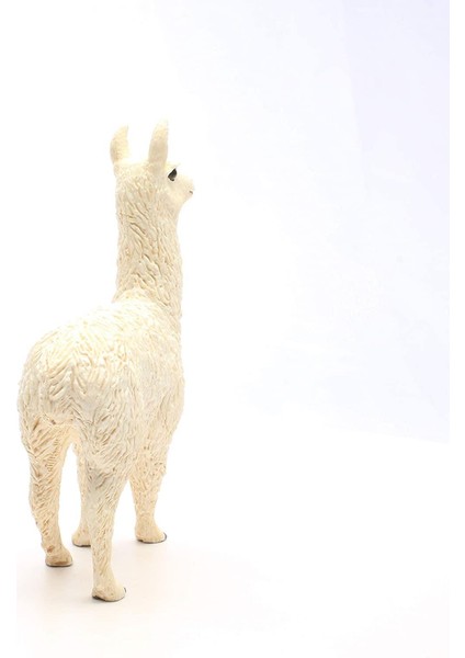 Lama 13920