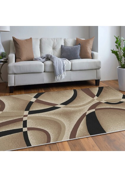 Dekoratif Pamuklu Dokuma Taban Modern Yıkanabilir Leke Tutmaz Ince Makine Dokuması Halı modelleri