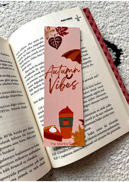 4'lü 4 Mevsim Yaz-Kış-Ilkbahar-Sonbahar Temalı Kitap Ayracı Seti modelleri