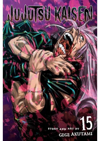 Jujutsu Kaisen 15